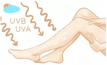 ����Óë�x�ķN��